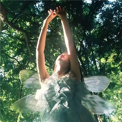 离婚后,虐我的总裁找上门