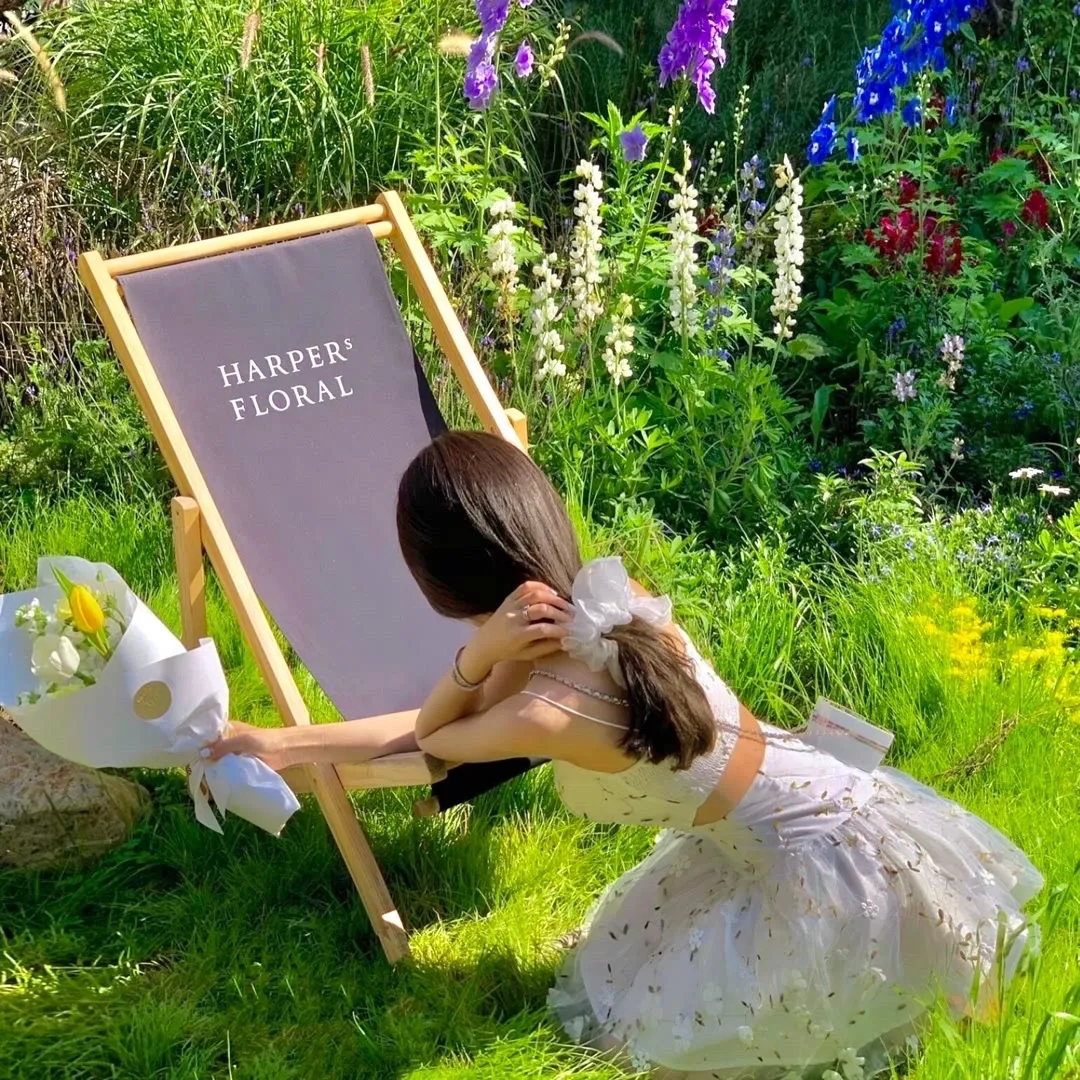 龙与虎OVA:便当的精髓